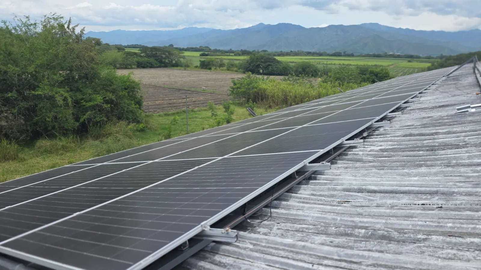 Paneles solares sobre el techo de la planta de Pan Catalina, con las montañas del Valle del Cauca al fondo
